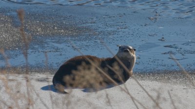 IMG_0389-4www.jpg