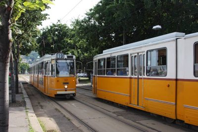 trams in Budapest