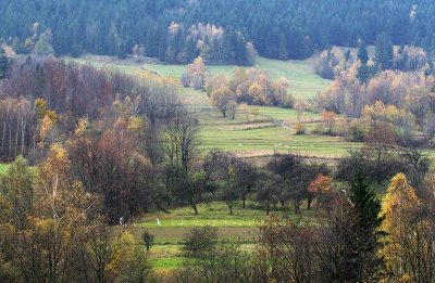 landscape around Mszana Dolna