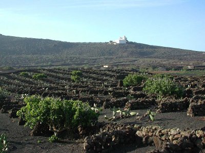 Lanzarote