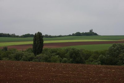 landscape near Harkany