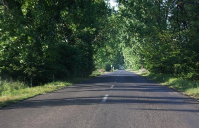 country road near Nagykoros