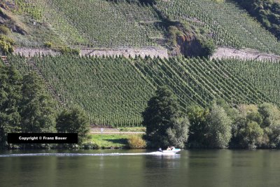 Mosel River