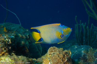 IMG_4887.jpg