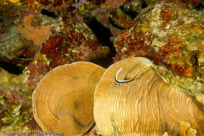 _MG_0313.jpg