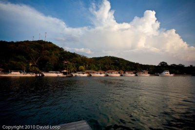_MG_0485.jpg