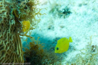 IMG_4956.jpg