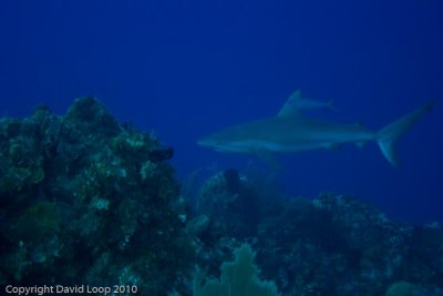 IMG_5124.jpg
