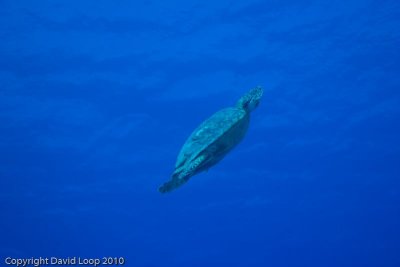 IMG_5134.jpg