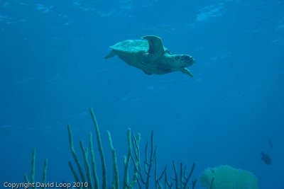IMG_5188.jpg