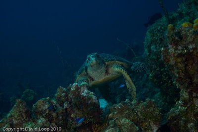 IMG_5232.jpg