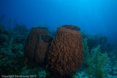 _MG_0705.jpg