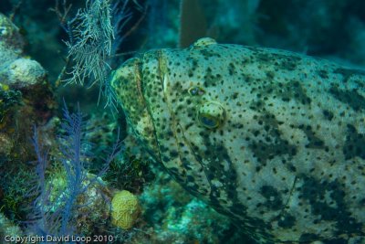 _MG_0750.jpg