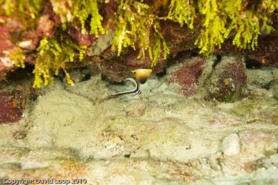 _MG_0778.jpg