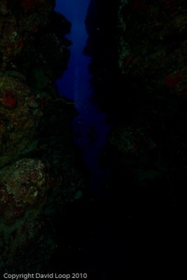 _MG_0787.jpg