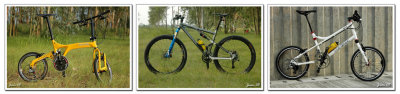 3bikes .jpg