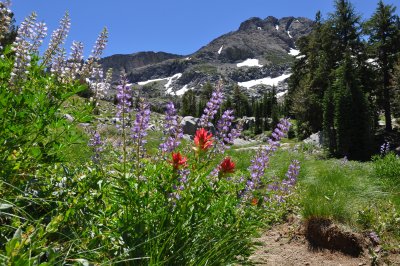 Tahoe trail hike to Round Top