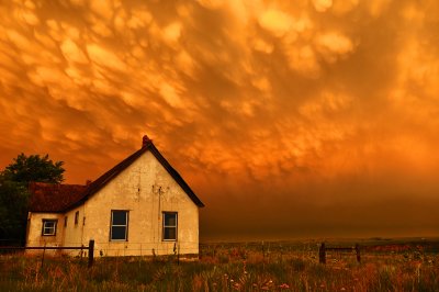 Mammatus