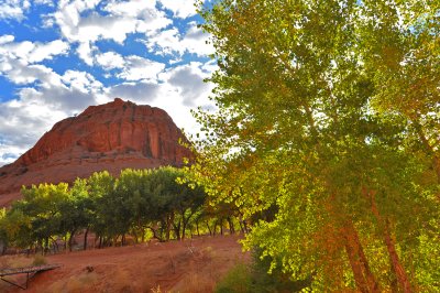 In Canyon de Chelly