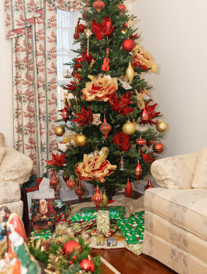 Xmas-Decs-3876.jpg