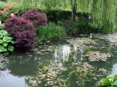 Claude Monet  Gardens
