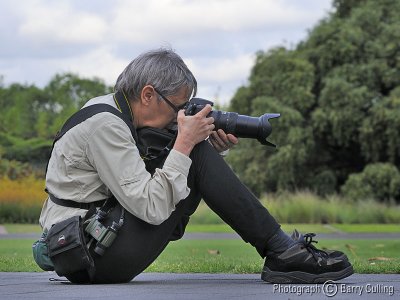 Photographing the Plovers.jpg