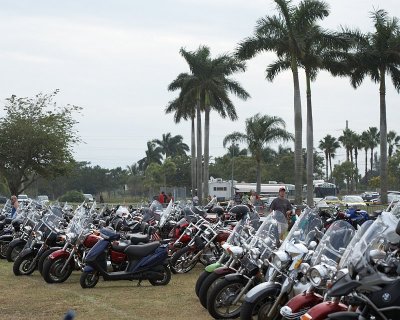 20081109-140334.jpg