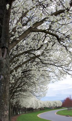 April 6, 2009