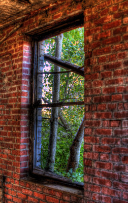 Looking Out The Old Porter House