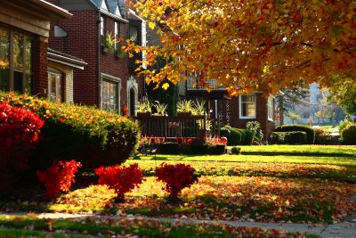 Allenhurst Road In Autumn