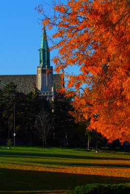 St Joe's In Autumn