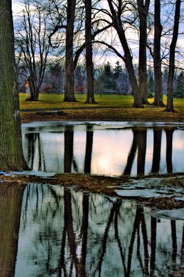 Reflection In Delaware Park
