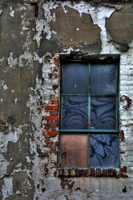 Ellicott Street Window