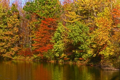 Audubon Lake