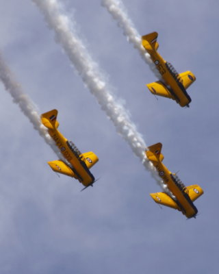 Canadian Harvard Aerobatic Team