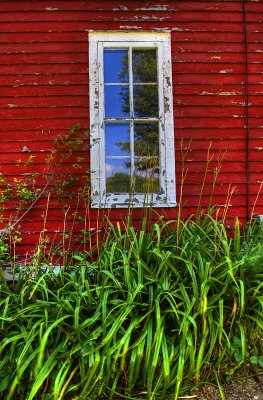 Dining Room Window