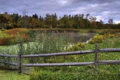 Early Autumn At Knox Field