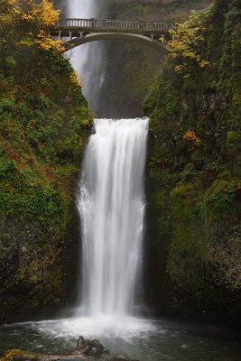 g1/69/523069/3/130231845.JfoD1D5l.jpg