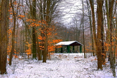 Winter With A Little Fall In Emery Park