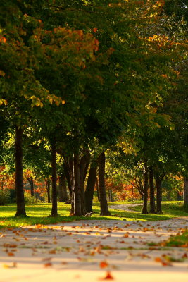 Sidewalk in MLK Park