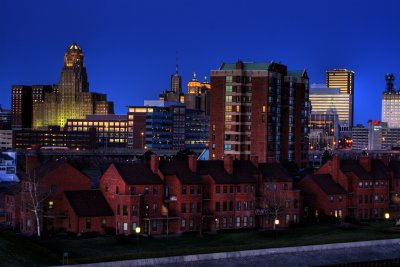 Buffalo On A Springtime Night