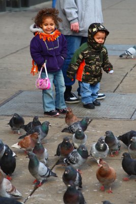 Kids With Pigeons