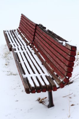 Winter Bench