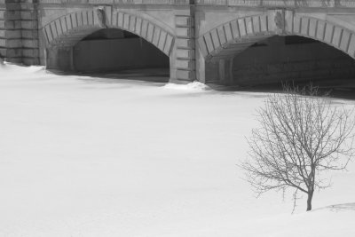 Hoyt Lake Bridge