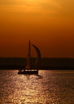 First Sails In The Sunset Of The Season