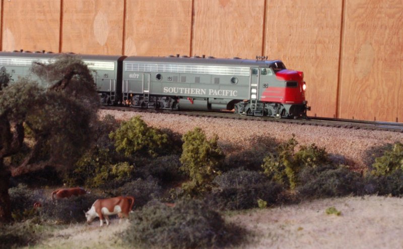 DSC_8637.JPG