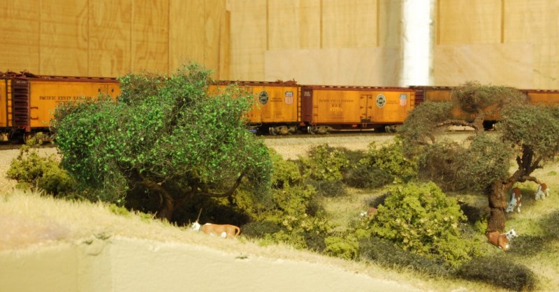 DSC_8641.JPG