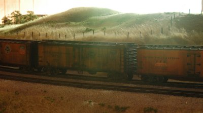 DSC_8645.JPG