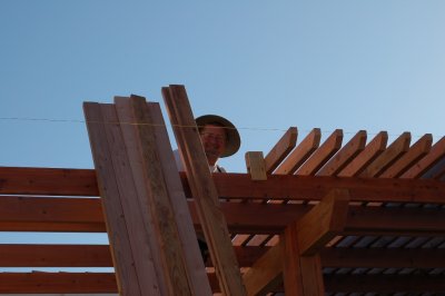 About half of the 2X4s are up and going. DSC_9902.JPG