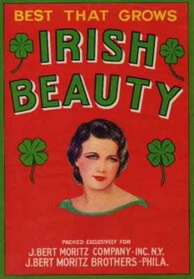 Irish Beauty-LG.jpg